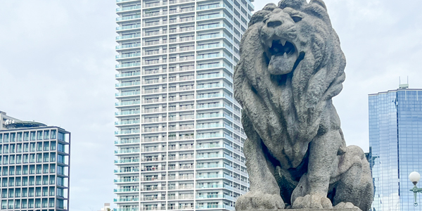 ギャラリー1（差し替え予定）